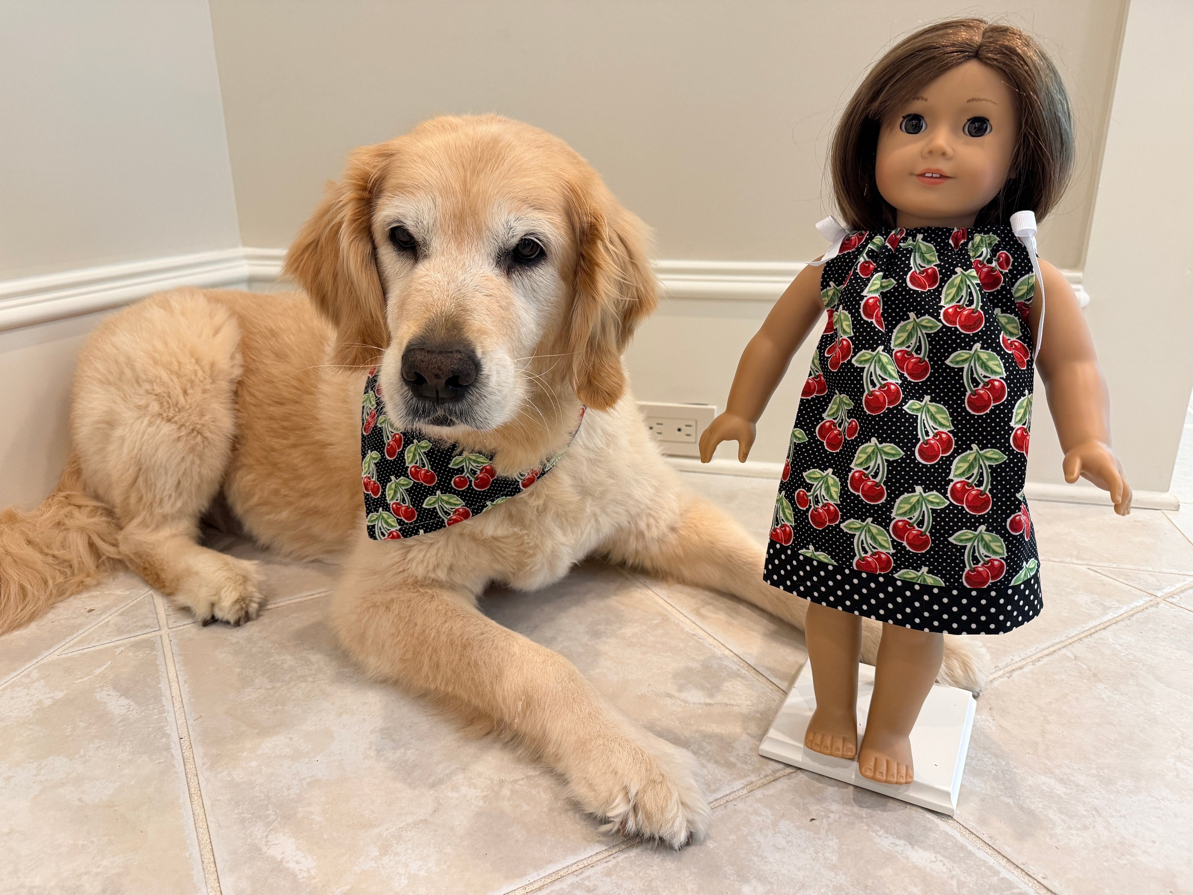Dogs and Dolls